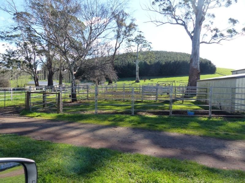 173 River Road, Deloraine TAS 7304