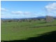 173 River Road, Deloraine TAS 7304