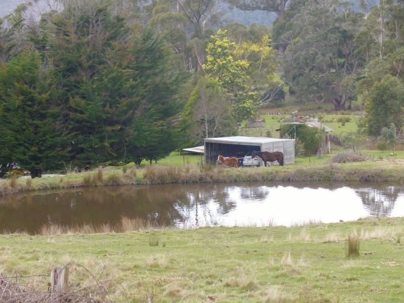 13369 Highland Lakes Road, Golden Valley TAS 7304
