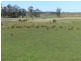 490 Weetah Road, Weetah TAS 7304