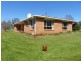490 Weetah Road, Weetah TAS 7304