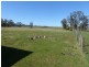 490 Weetah Road, Weetah TAS 7304