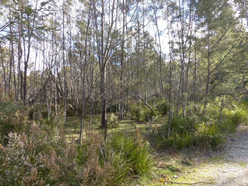 1751 Birralee Road, Birralee TAS 7303