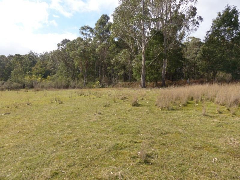1751 Birralee Road, Birralee TAS 7303