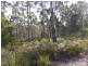 1751 Birralee Road, Birralee TAS 7303
