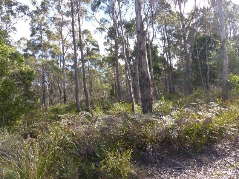 1751 Birralee Road, Birralee TAS 7303