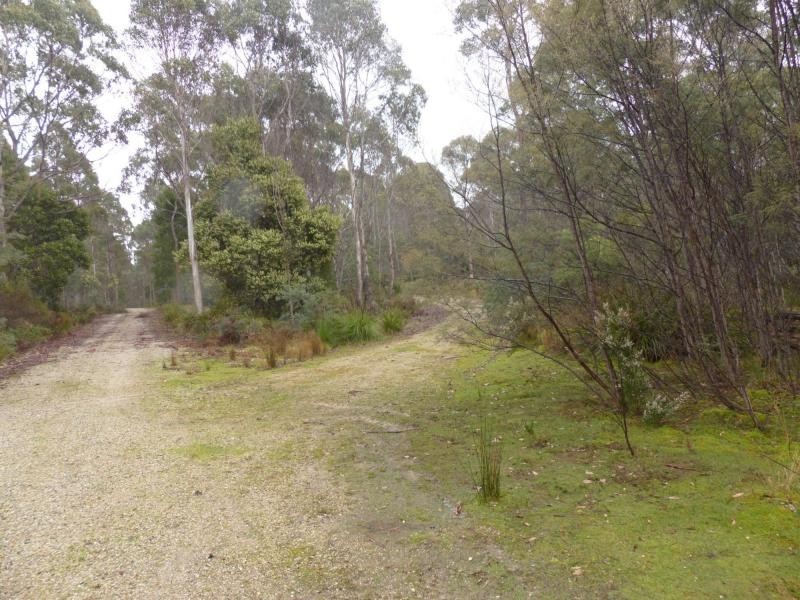 1751 Birralee Road, Birralee TAS 7303