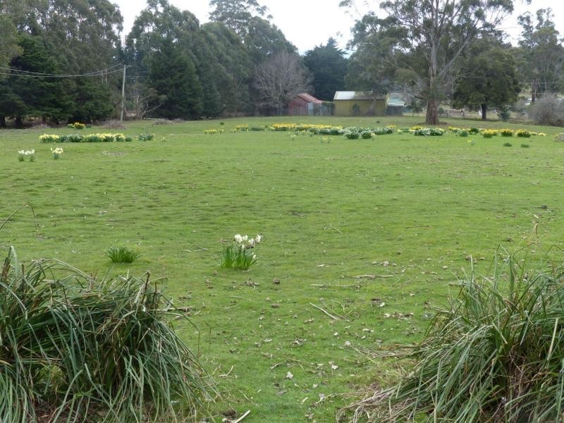 13369 Highland Lakes Road, Golden Valley TAS 7304