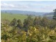 130 Gannons Hill Road, Moltema TAS 7304