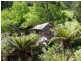 175 Hawleys Lane, Weegena TAS 7304