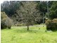 175 Hawleys Lane, Weegena TAS 7304