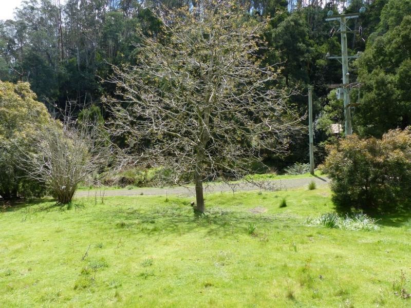 175 Hawleys Lane, Weegena TAS 7304
