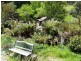175 Hawleys Lane, Weegena TAS 7304