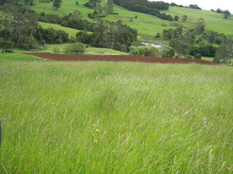 1123 Weegena road, Weegena TAS 7304