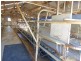 1123 Weegena road, Weegena TAS 7304