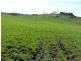 1123 Weegena road, Weegena TAS 7304