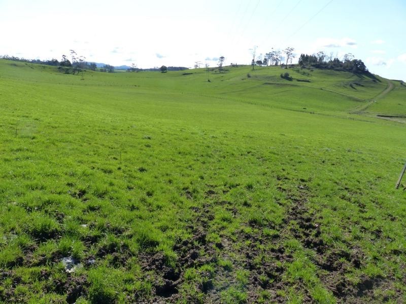 1123 Weegena road, Weegena TAS 7304