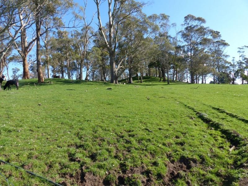 1123 Weegena road, Weegena TAS 7304