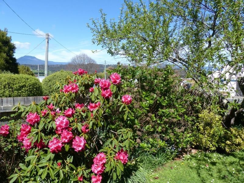 49 West Goderich Street, Deloraine TAS 7304