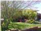 49 West Goderich Street, Deloraine TAS 7304