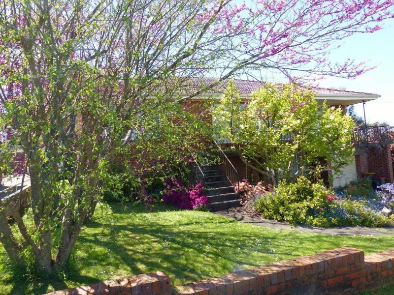 49 West Goderich Street, Deloraine TAS 7304