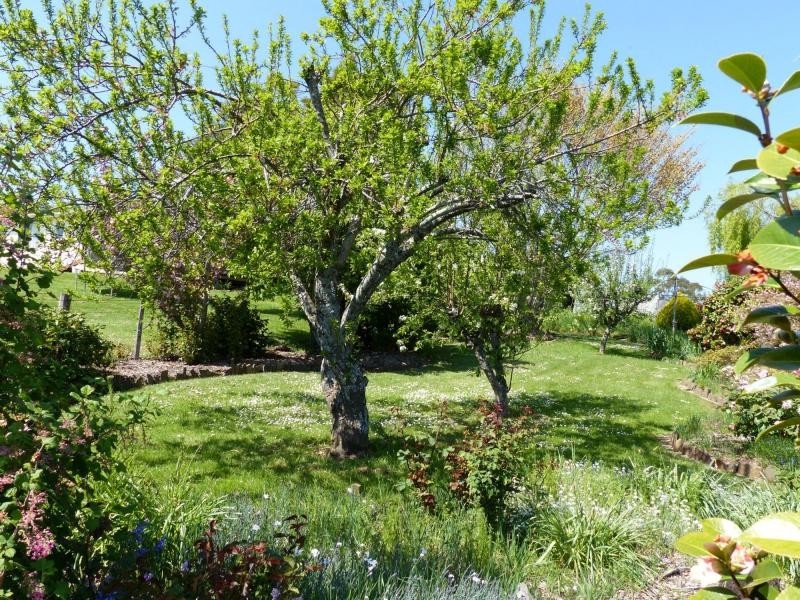 74 Shadforth Street, Westbury TAS 7303