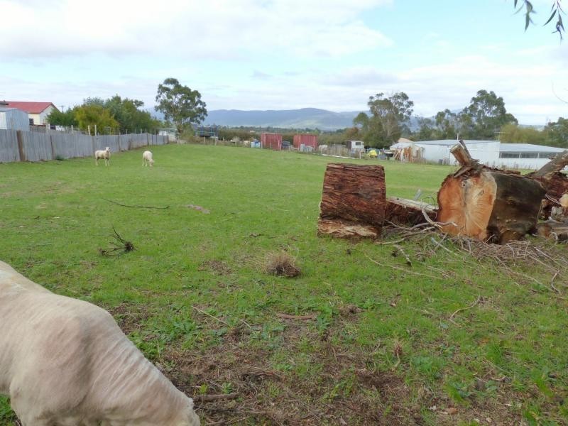 74 Shadforth Street, Westbury TAS 7303