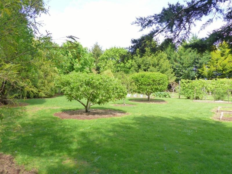 86 East Church Street, Deloraine TAS 7304