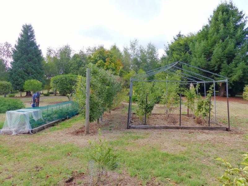 86 East Church Street, Deloraine TAS 7304