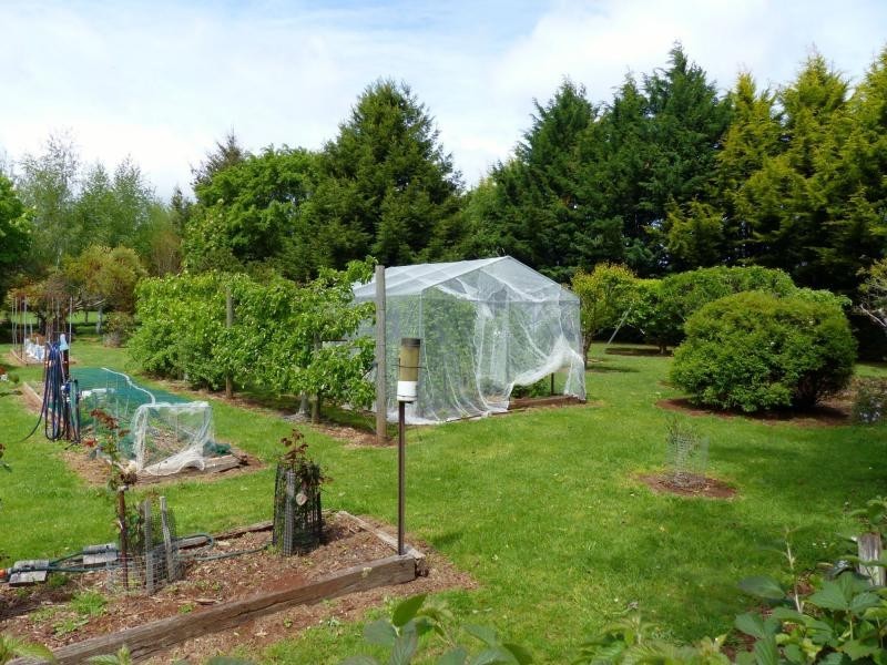 86 East Church Street, Deloraine TAS 7304