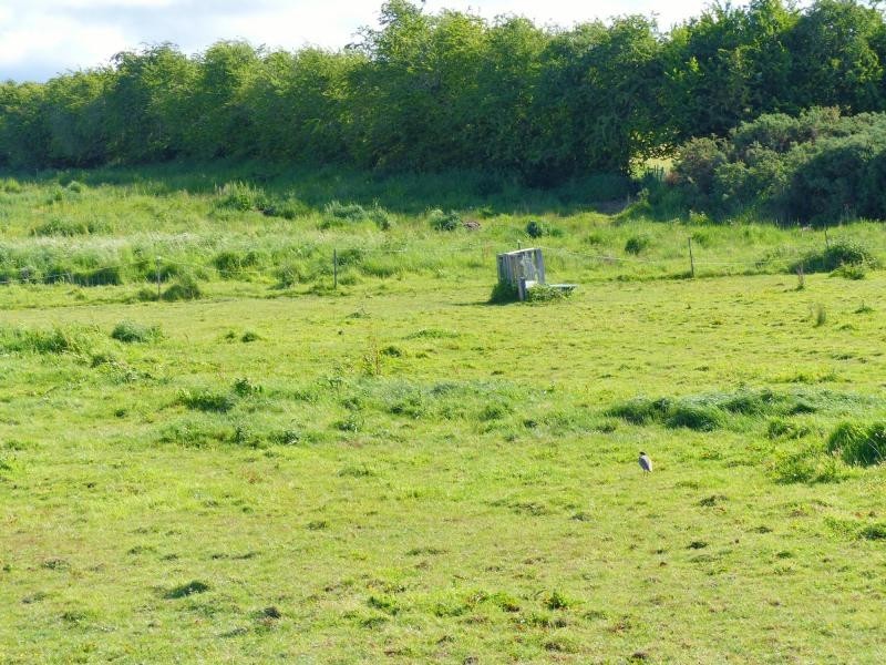 L1 Roberts Street, Exton TAS 7303