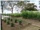 152 Jones Street South, Chudleigh TAS 7304