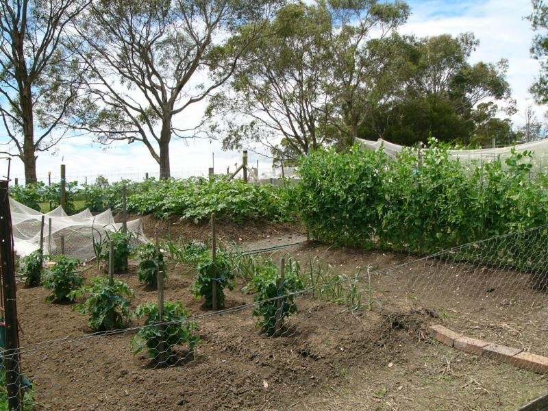 152 Jones Street South, Chudleigh TAS 7304