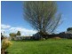 73 East Barrack Street, Deloraine TAS 7304