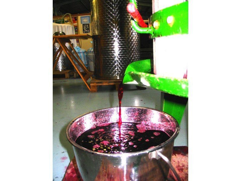 21 Lansdowne Place, Deloraine TAS 7304