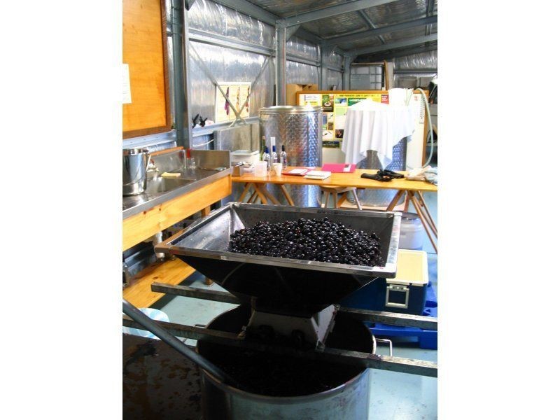 21 Lansdowne Place, Deloraine TAS 7304