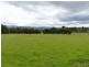 19 Five Acre Row  South, Westbury TAS 7303