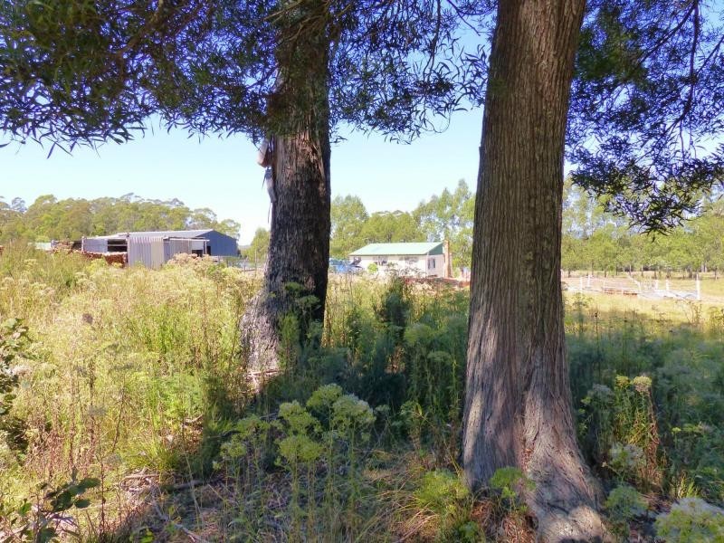 625 Weetah Road, Weetah TAS 7304