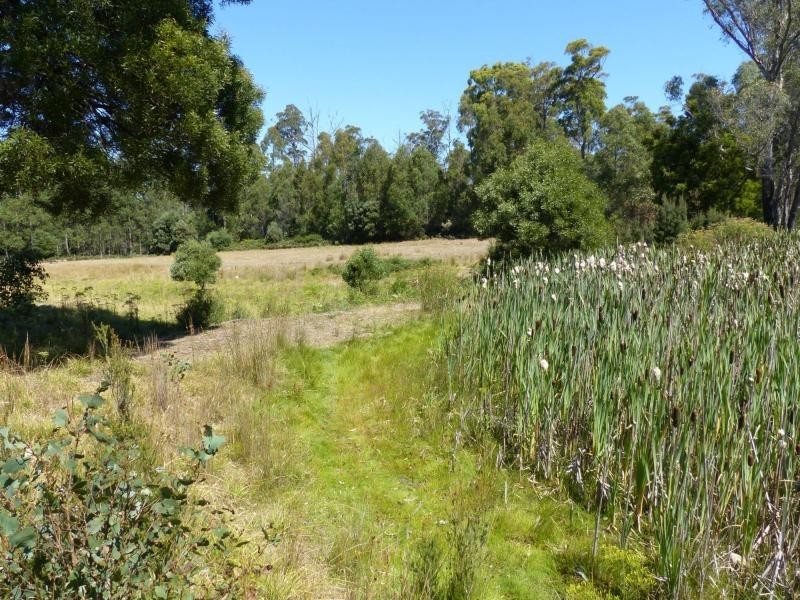 625 Weetah Road, Weetah TAS 7304