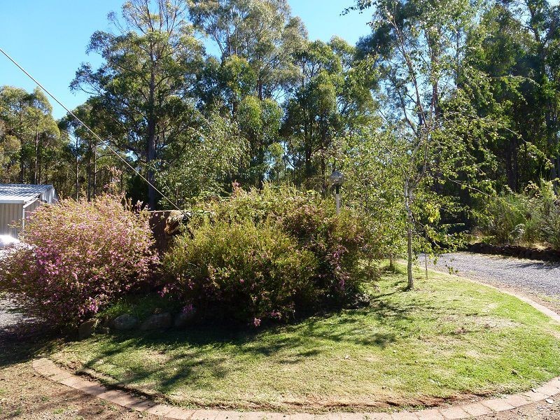 550 Porters Bridge Road, Reedy Marsh TAS 7304