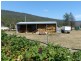 10 Junction Road, Mole Creek TAS 7304
