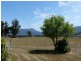 10 Junction Road, Mole Creek TAS 7304