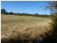 L1 Marriot Street, Westbury TAS 7303