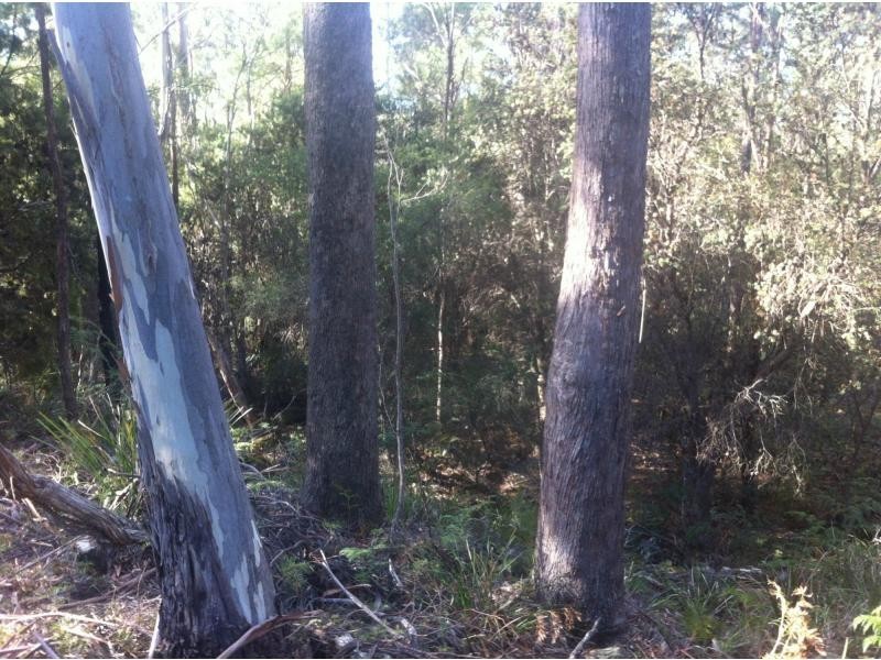 L1 River Road, Reedy Marsh TAS 7304