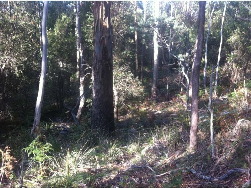 L1 River Road, Reedy Marsh TAS 7304