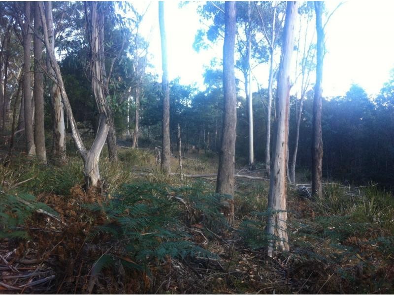 L1 River Road, Reedy Marsh TAS 7304