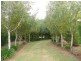 86 East Church Street, Deloraine TAS 7304