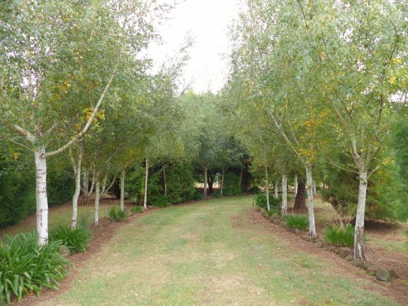 86 East Church Street, Deloraine TAS 7304