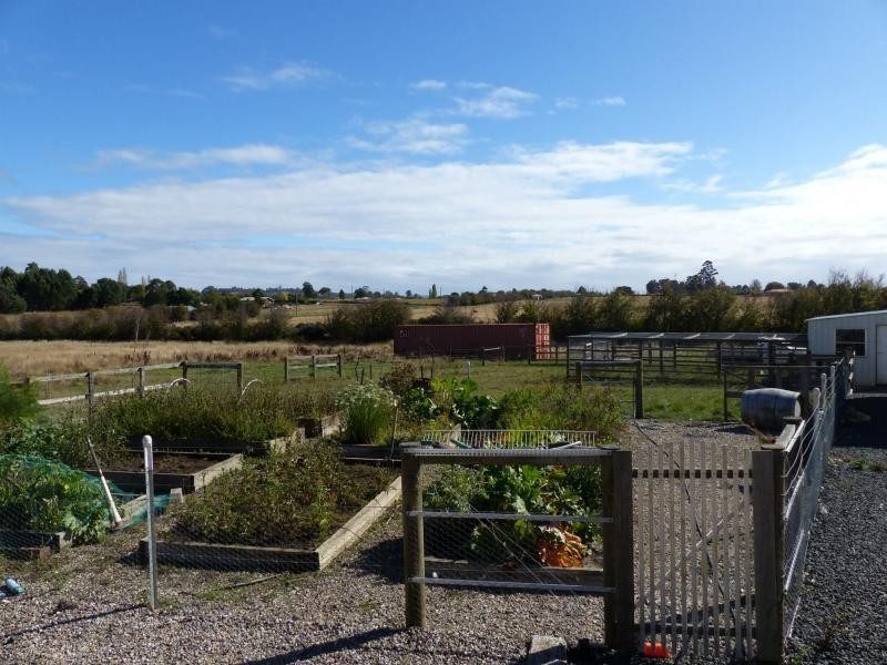 24 Allen Street, Westbury TAS 7303