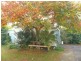 95 East Barrack Street, Deloraine TAS 7304
